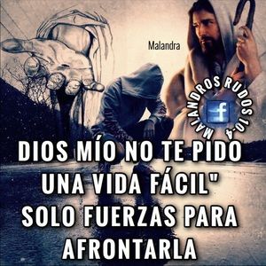 Meet your Posher, Tony